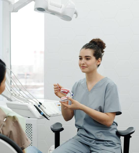 Dental professional using a model of teeth with braces to explain orthodontic treatment to a seated patient